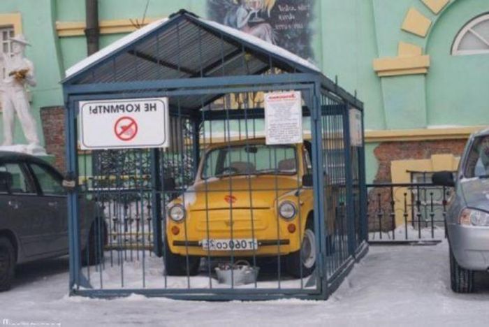 Картинки приколы Картинки приколы