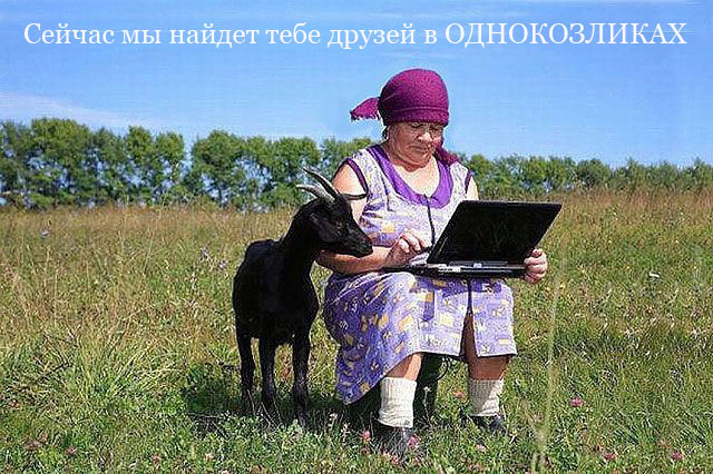 Смешные картинки с надписями до слез Смешные картинки с надписями до слез