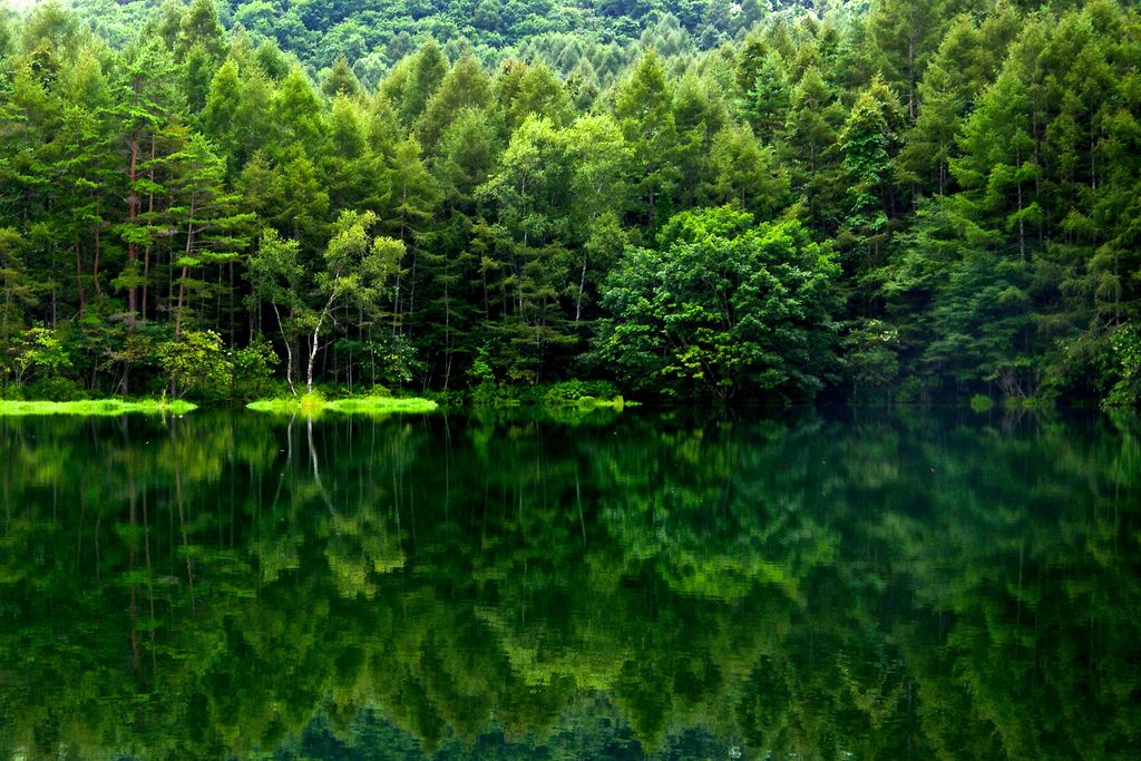 Красивые картинки природы Красивые картинки природы