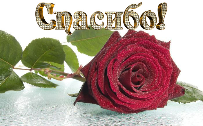 Спасибо картинки Спасибо картинки