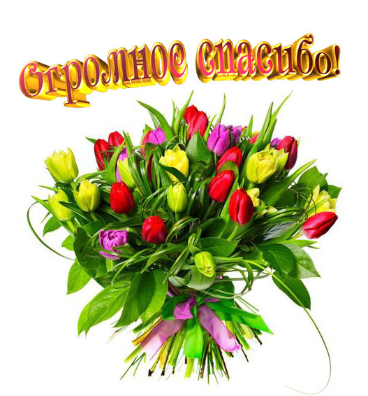 Спасибо картинки Спасибо картинки