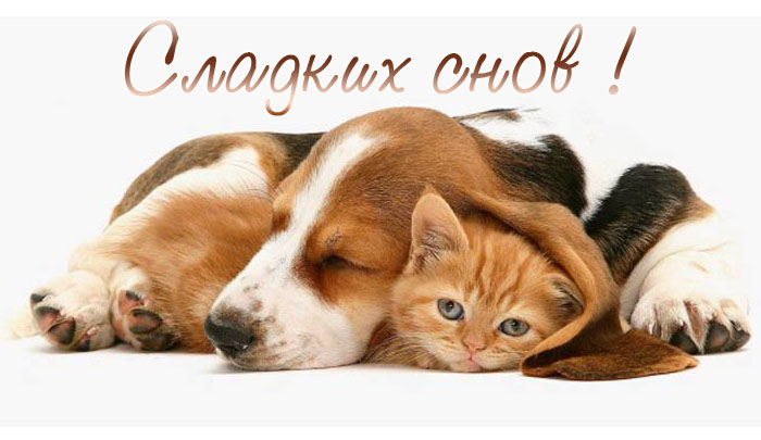 Картинки доброй ночи Картинки доброй ночи