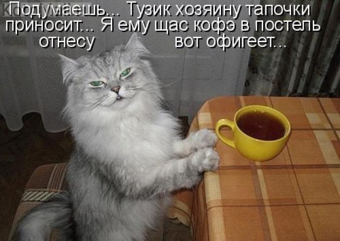Приколы - картинки с надписями Приколы - картинки с надписями