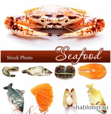 Клипарт морепродукты / Seafood Клипарт морепродукты / Seafood
