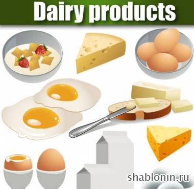     / Dairy products