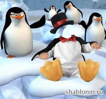 Шаблон photoshop для детей - пингвины