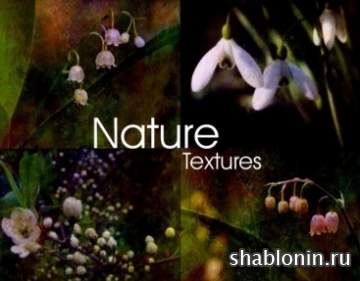 Природные Текстуры Весенние цветы