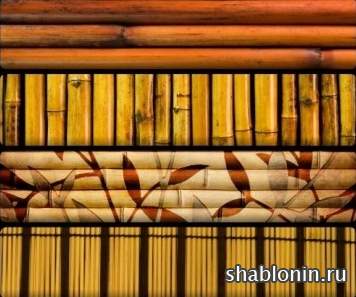 Клипарт для фотошопа - Текстуры бамбука
