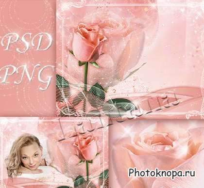    PSD / Rose