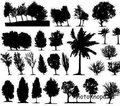 Силуэты лиственных и хвойных деревьев в векторе