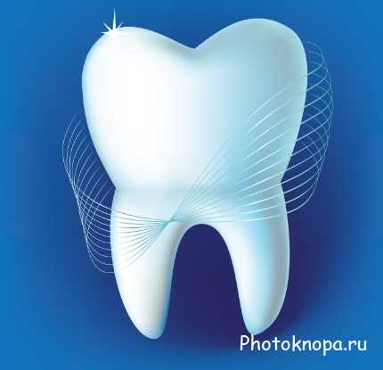 Стоматология, здоровые зубы в векторе