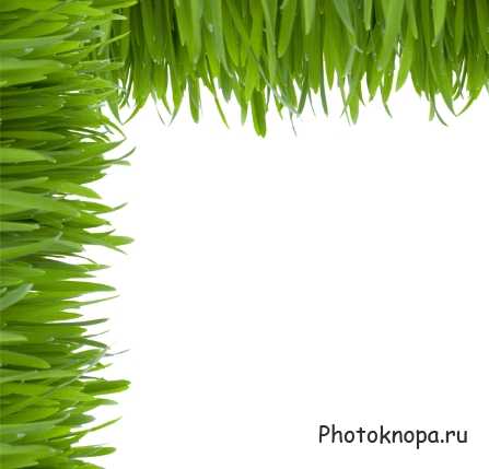 Клипарт зеленая трава / Grass Клипарт зеленая трава / Grass