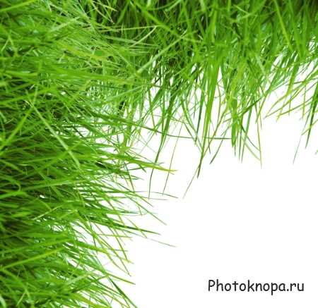 Клипарт зеленая трава / Grass Клипарт зеленая трава / Grass