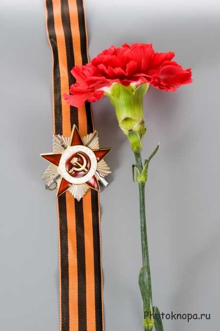 9 мая - растровый клипарт с орденом, цветами и георгиевской лентой