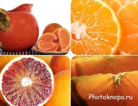 Клипарт апельсины / Orange
