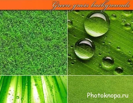 Фоны и текстуры для фотошопа - зелёная трава