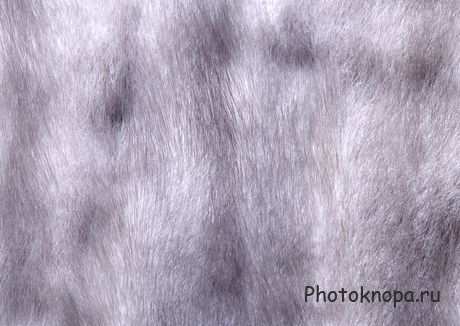 Текстуры для фотошопа меха и шкуры Текстуры для фотошопа меха и шкуры