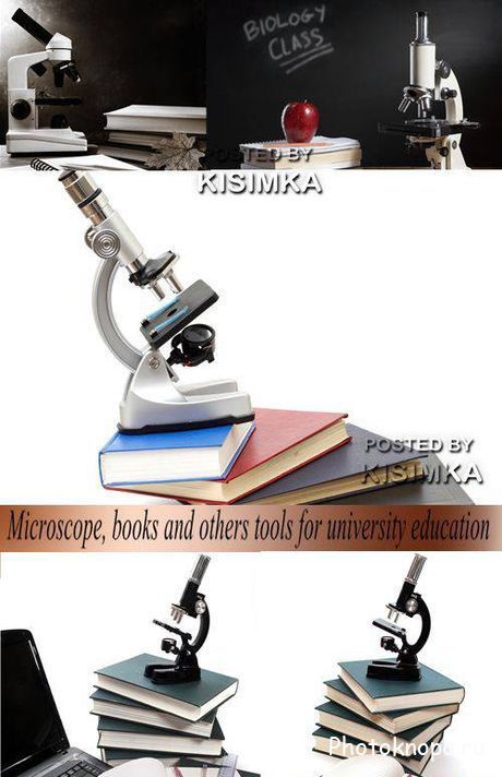 Микроскоп, книги для высших учебных заведений - клипарт Микроскоп, книги для высших учебных заведений - клипарт
