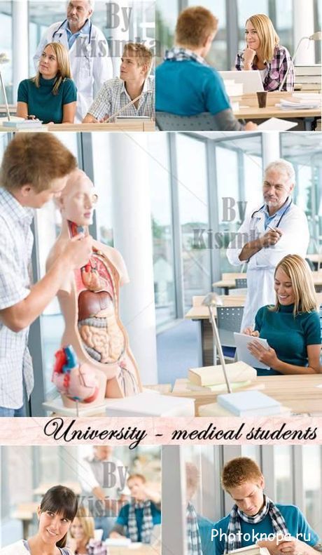 Медицинский университет - студенты медики клипарт
