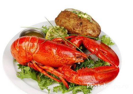 Лобстеры, омары, раки - растровые клипарты Лобстеры, омары, раки - растровые клипарты
