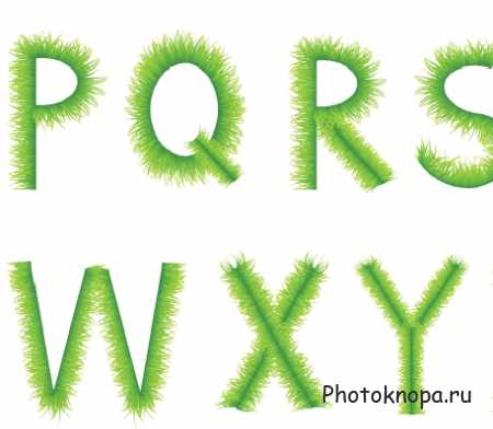Природный алфавит из травы, растений, листьев, деревьев в векторе