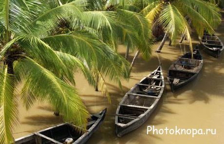   -   / Boats