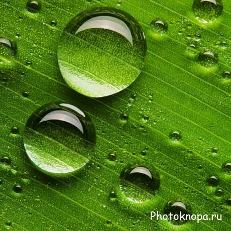 Фоны и текстуры для фотошопа - зелёная трава Фоны и текстуры для фотошопа - зелёная трава