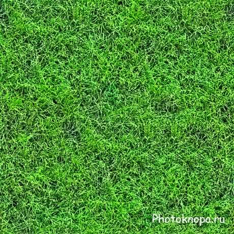 Фоны и текстуры для фотошопа - зелёная трава Фоны и текстуры для фотошопа - зелёная трава