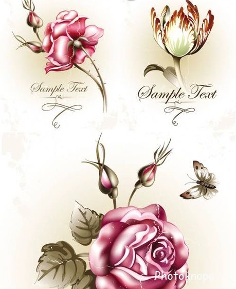 Винтажные цветы в векторе - Vintage Flowers Винтажные цветы в векторе - Vintage Flowers