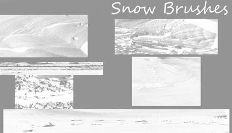     - Snow brushes