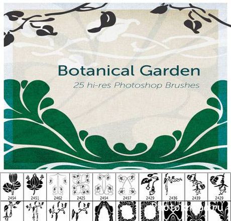      - Botanical garden brushes