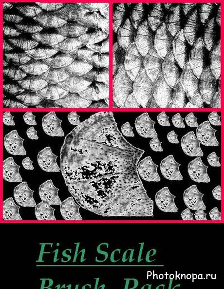 Рыбья чешуя кисти для фотошопа - Fish Scale Brush Рыбья чешуя кисти для фотошопа - Fish Scale Brush