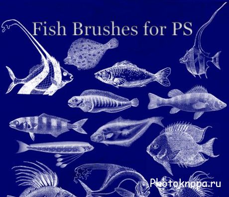 Рыбы кисти для фотошопа - Fish Brushes Рыбы кисти для фотошопа - Fish Brushes