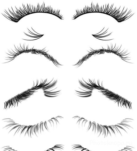 Ресницы кисти для фотошопа - Eyelashes Brushes Ресницы кисти для фотошопа - Eyelashes Brushes