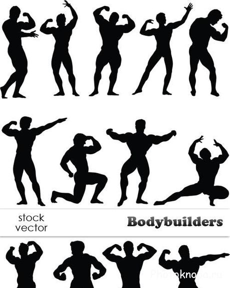 Бодибилдеры и культуристы в векторе - Bodybuilders