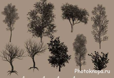 Кисти для фотошопа лиственные деревья Кисти для фотошопа лиственные деревья