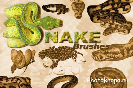Кисти для Photoshop змеи - Snakes brushes Кисти для Photoshop змеи - Snakes brushes