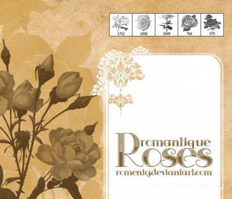 Кисти для фотошопа романтические розы - Roses Brushes Кисти для фотошопа романтические розы - Roses Brushes