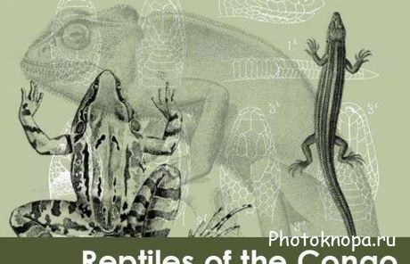 Кисти для фотошопа ящерицы и рептилии - Reptiles brushes Кисти для фотошопа ящерицы и рептилии - Reptiles brushes