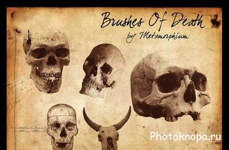 Кисти для фотоопа черепа Кисти для фотоопа черепа