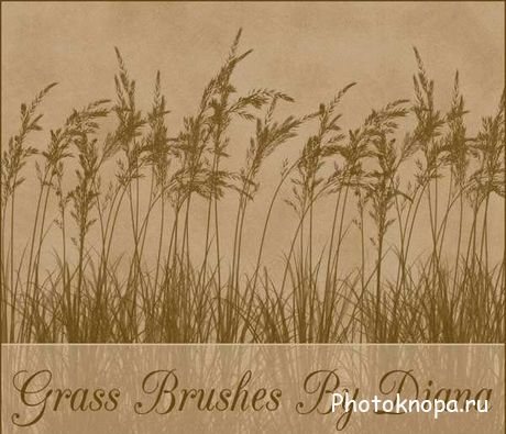     - Grass Brushes