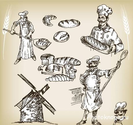    - Bakery vector