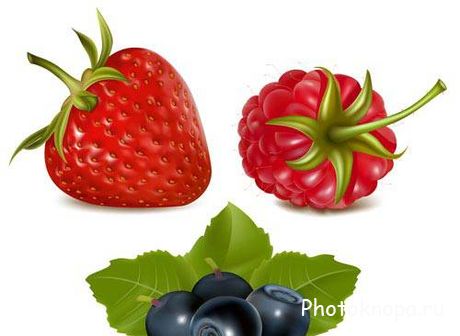 Фрукты и ягоды - Fruits and barries векторный клипарт Фрукты и ягоды - Fruits and barries векторный клипарт