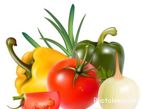 Овощи в векторе - vegetables