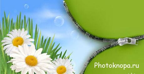 Летние и весенние фоны с зелеными растениями в векторе