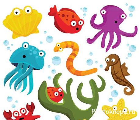     - Marine animals Vector