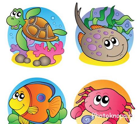     - Marine animals Vector