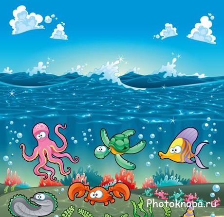     - Marine animals Vector