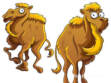 Сборник забавных животных в векторе - Animals vector Сборник забавных животных в векторе - Animals vector