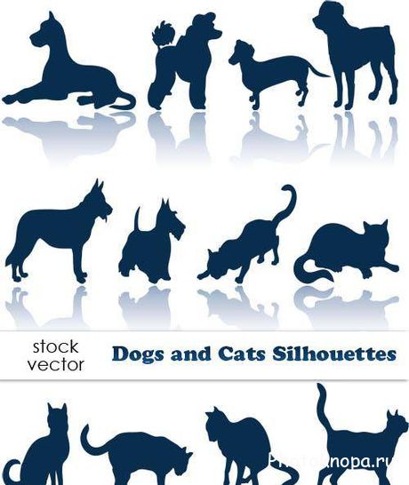    Dogs and Cats -  